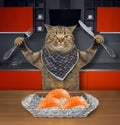 Cat eats sushi in the kitchen 2 Royalty Free Stock Photo