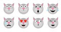 Cat emoticon. Animal emoticons. Cat face icons, funny friend cartoon pack isolated on white, vector illustration.