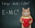 Cat with energy coffee 2