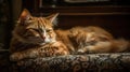 cat enjoying sleeping on the sofa realistic photography with generative AI technology