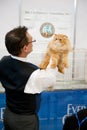 Cat exhibition Royalty Free Stock Photo