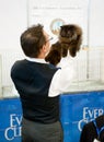 Cat exhibition Royalty Free Stock Photo