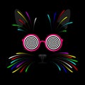 Cat face with colorful vibrissae and glasses with hypnotic spirals Royalty Free Stock Photo