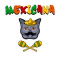 Cat face. Gray cat with sombrero, mustache and maracas. Mexicana text. Vector illustration.