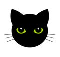 Cat face with green eyes Royalty Free Stock Photo