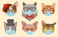 Cat in face mask. Cute heads cats muzzles in medical masks, happy pets portrait stickers, coronavirus social protection