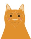 Cat and face recognition as a concept of finding a lost pet, flat vector stock illustration with cat identification Royalty Free Stock Photo