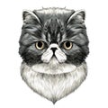 Cat face sketch vector