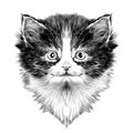 Cat face sketch vector Royalty Free Stock Photo