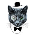 Cat face sketch vector Royalty Free Stock Photo