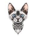 Cat face sketch vector Royalty Free Stock Photo