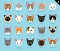 Cat Faces Icon Cartoon 1