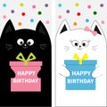 Cat family couple with gift box bow. Flyer poster set. Cute funny cartoon character. Happy Birthday. Greeting card. Flat design. W Royalty Free Stock Photo