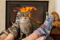 Cat and feet in front of the fireplace Royalty Free Stock Photo