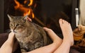 Cat and feet in front of the fireplace Royalty Free Stock Photo