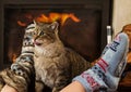 Cat and feet in front of the fireplace Royalty Free Stock Photo