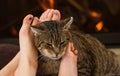 Cat and feet in front of the fireplace Royalty Free Stock Photo