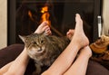 Cat and feet in front of the fireplace Royalty Free Stock Photo