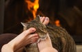 Cat and feet in front of the fireplace Royalty Free Stock Photo