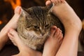 Cat and feet in front of the fireplace Royalty Free Stock Photo