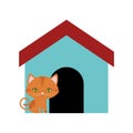 cat feline curious small colored house