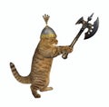 Cat fights with battle axe Royalty Free Stock Photo