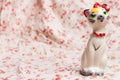 Cat figurine Royalty Free Stock Photo