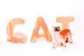 Cat figurine and cat inscription in wooden letters Royalty Free Stock Photo