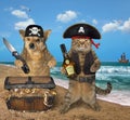 Dog and cat pirate near the treasures