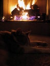 Cat and fireplace Royalty Free Stock Photo