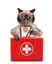 Cat with a first aid kit