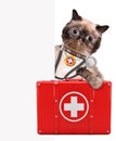 Cat with a first aid kit