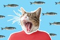 Cat and fish collage, pop art concept design. Minimal vibrant background