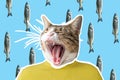 Cat and fish collage, pop art concept design. Minimal vibrant background