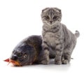 Cat and fish Royalty Free Stock Photo