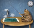 Cat fishing in phone 2 Royalty Free Stock Photo