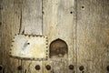 Cat flap on wooden door