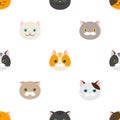 Cat. flat feline head icons. seamless pattern, vector background