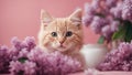 cat and flowers gallant red kitten with a soft, fluffy coat, posing elegantly beside a bouquet of fragrant lilacs,