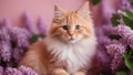 cat with flowers gallant red kitten with a soft, fluffy coat, posing elegantly beside a bouquet of fragrant lilacs, Royalty Free Stock Photo