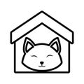 cat fluffy animal clossed eyes house pet outline