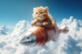 Cat flying on a rocket on bright sky