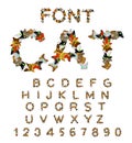 Cat font. catlike ABC. letters of cats. Pet alphabet. Pets typography