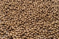 Cat food closeup, food for small kittens Royalty Free Stock Photo