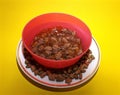 Cat food in a pink bowl and saucer with dry food