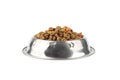 Cat food in iron bowl Royalty Free Stock Photo