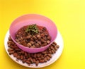 Cat food in a pink bowl and saucer with dry food