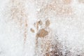 Cat footprints in the snow on a wooden background Royalty Free Stock Photo