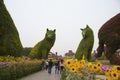 Huge garden cats figures in Dubai Miracle Garden