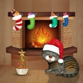 Cat in front of the fireplace for Christmas Royalty Free Stock Photo